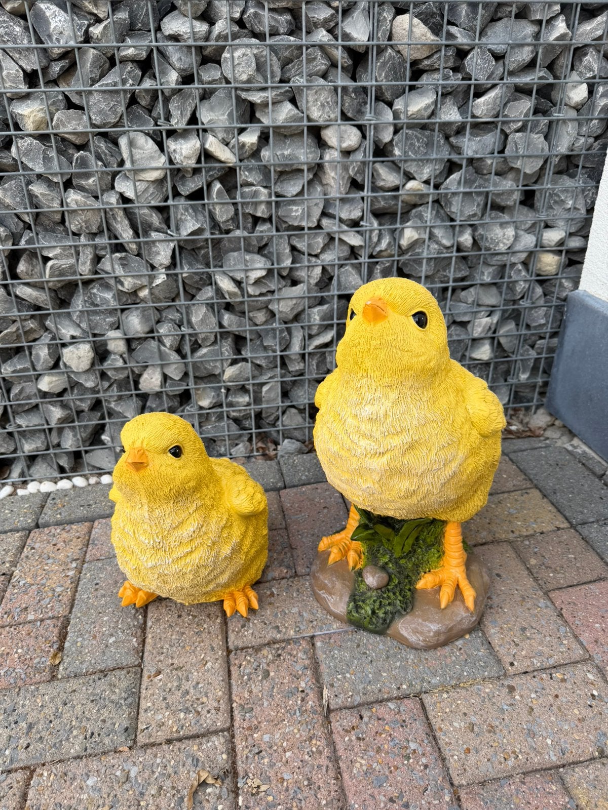 Kuikens, Ophalen, Nieuw, Dierenbeeld