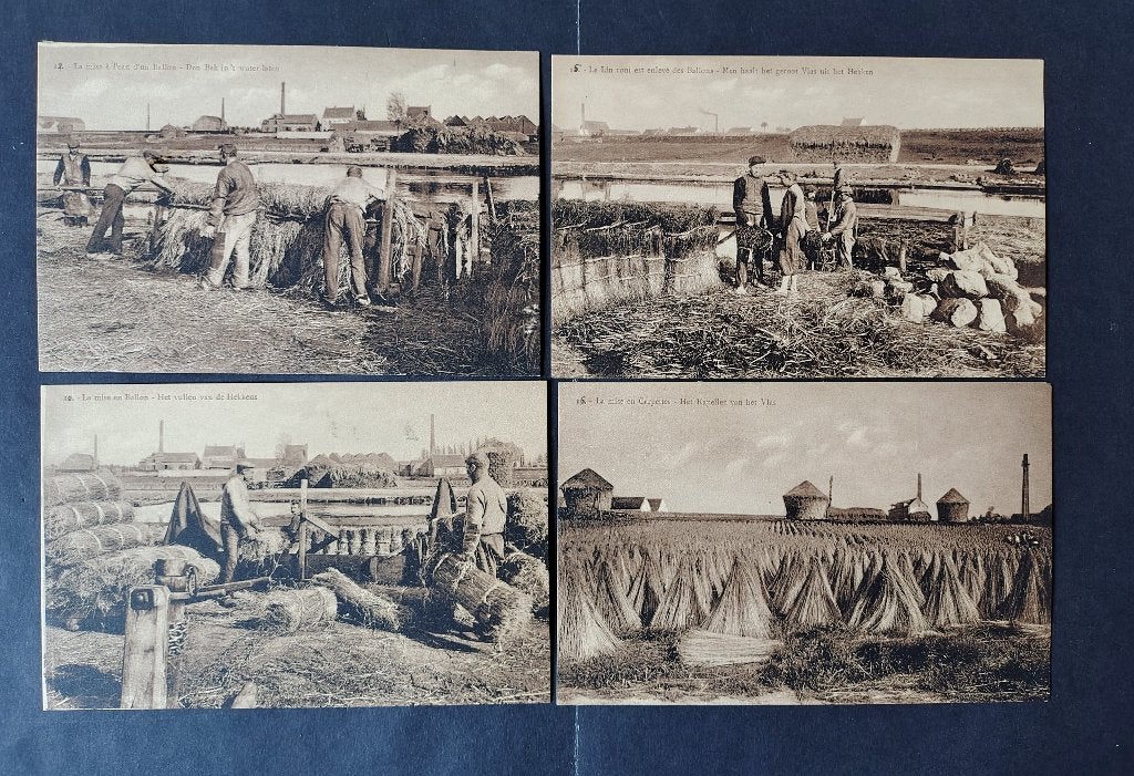 Vintage postkaarten vlasteelt, Verzamelen, Postkaarten | België, Ophalen of Verzenden, Voor 1920, Ongelopen, West-Vlaanderen