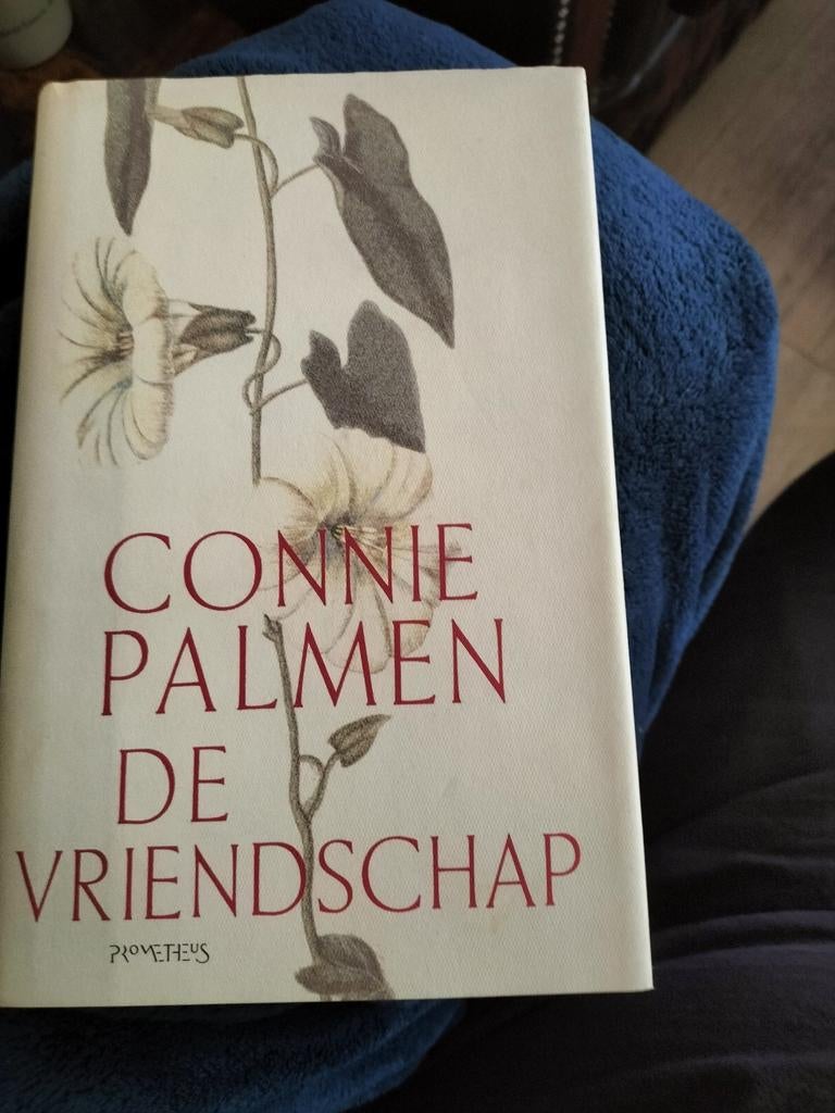 Connie Palmen - De vriendschap, Boeken, Literatuur, Ophalen of Verzenden