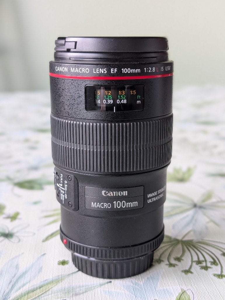 CANON EF 100 L IS MACRO, Autofocus, Canon, Objectif macro, Enlèvement