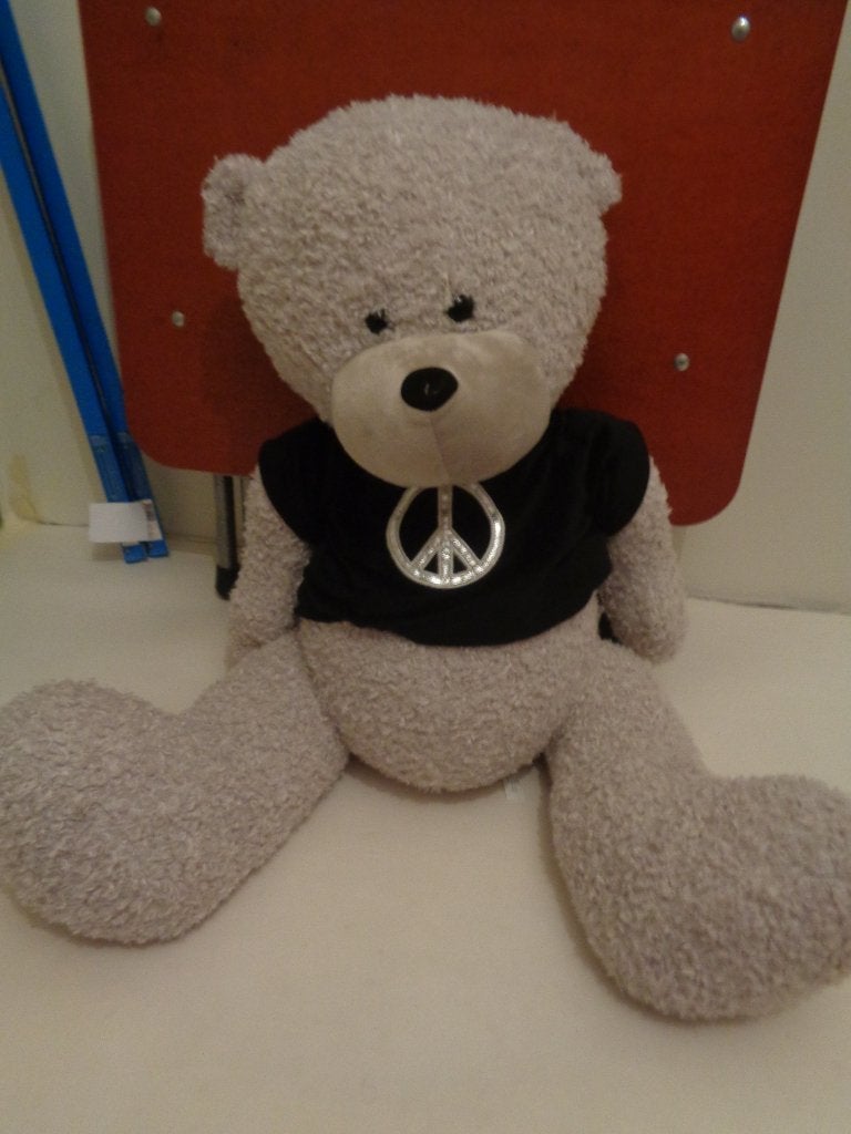 Pluchen beer met truitje, Verzamelen, Beren en Cherished Teddies, Ophalen, Zo goed als nieuw, Stoffen beer, Overige merken