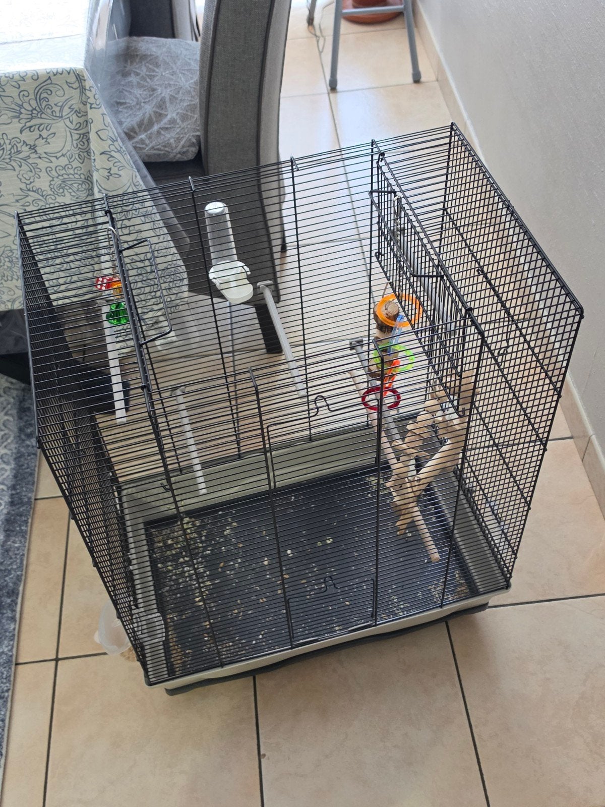 Inséparable, Animaux & Accessoires, Oiseaux | Accessoires, Enlèvement