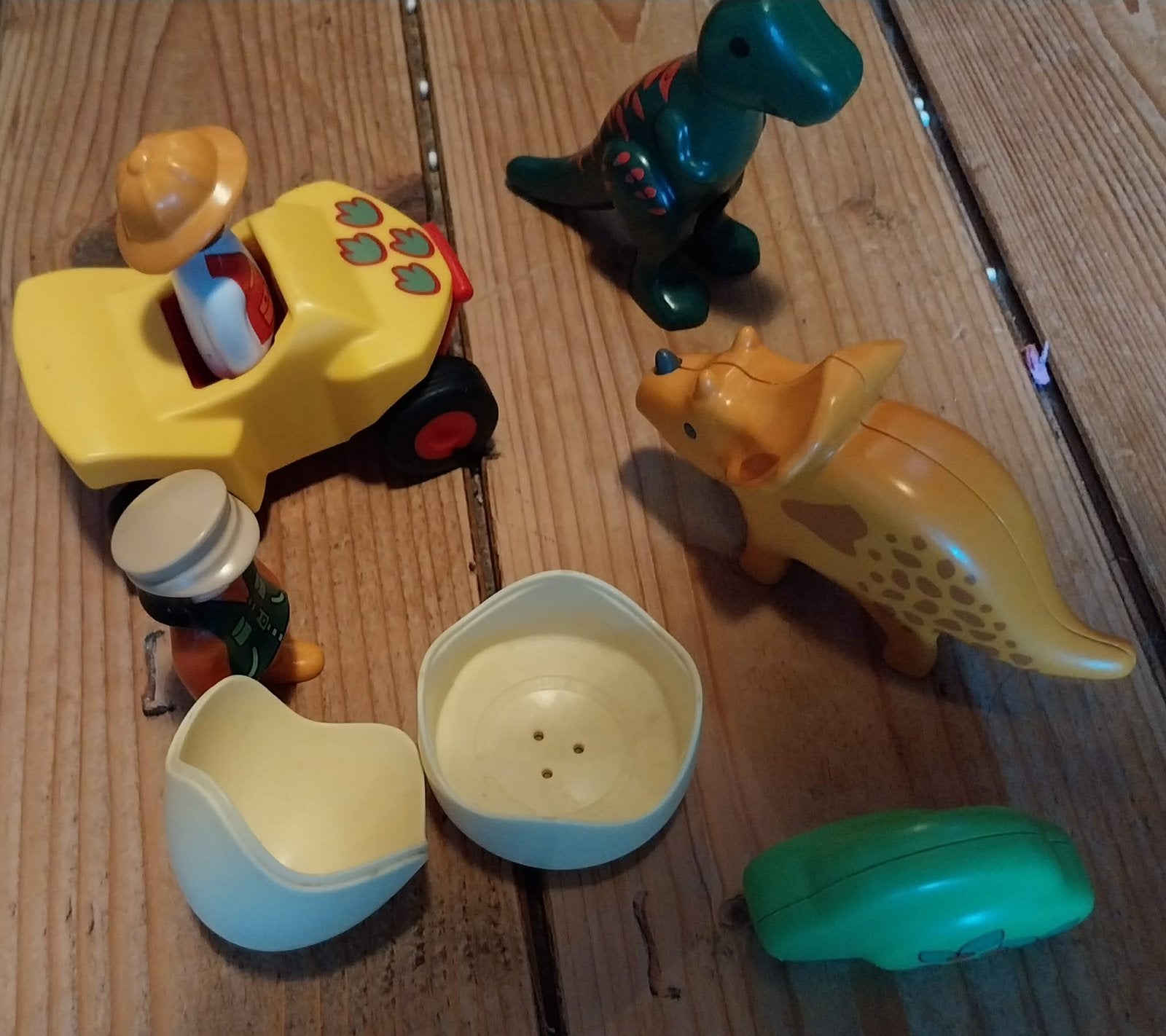 Playmobil 123 Explorateur dinosaures + Explorateur oeuf, Enfants & Bébés, Jouets | Playmobil, Enlèvement, Utilisé