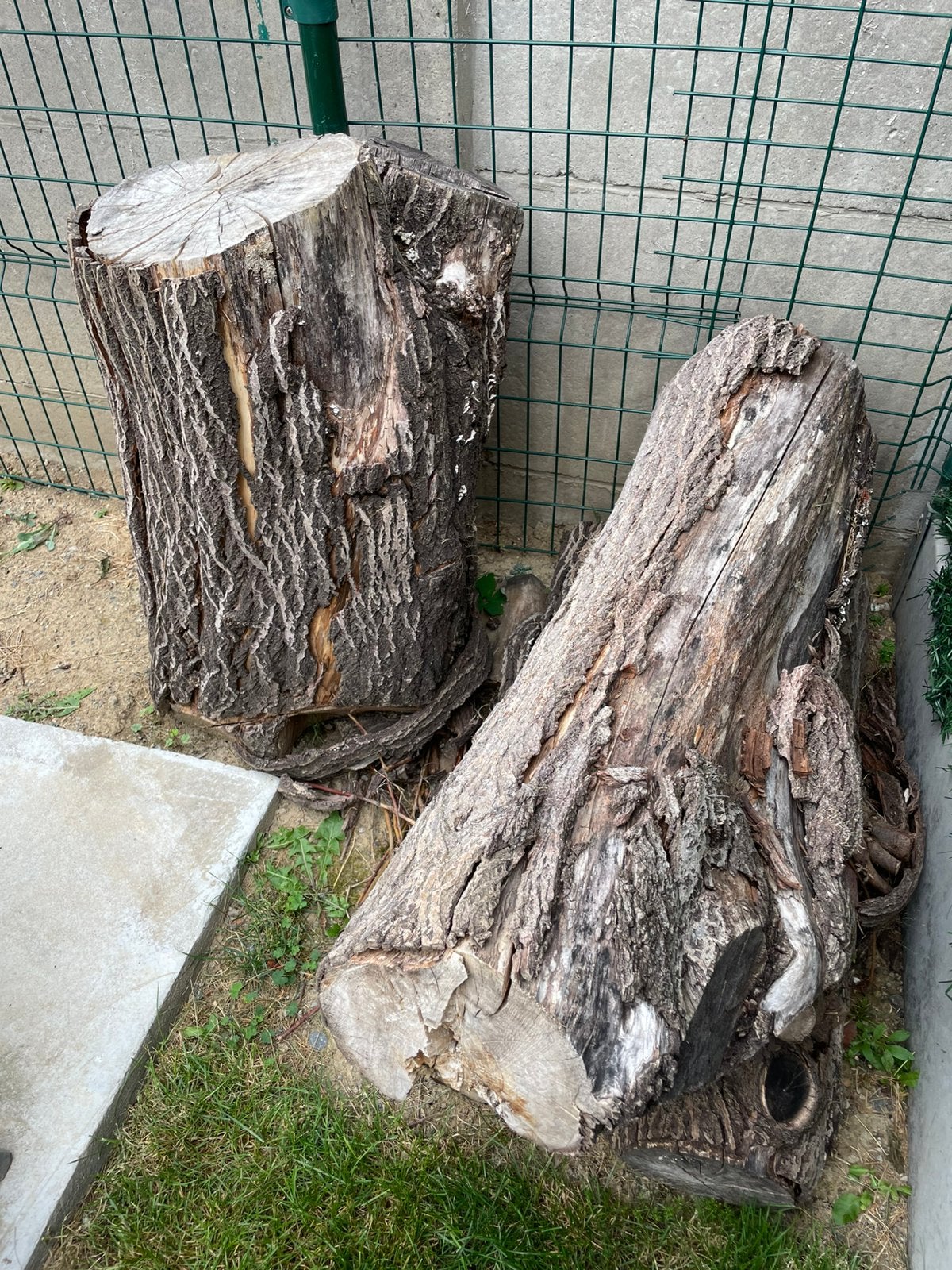 Bois à donner, Enlèvement, Troncs d'arbres