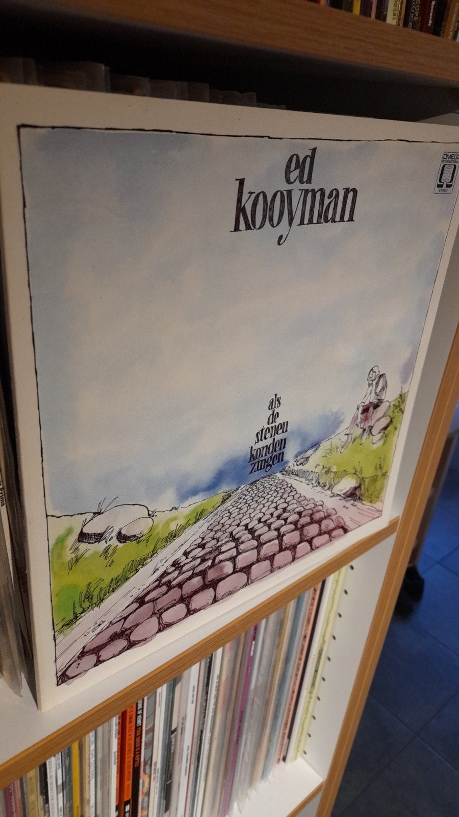 LP: Ed Kooyman - Als de stenen konden zingen, Cd's en Dvd's, LP, Folk, Ophalen of Verzenden, 12 inch