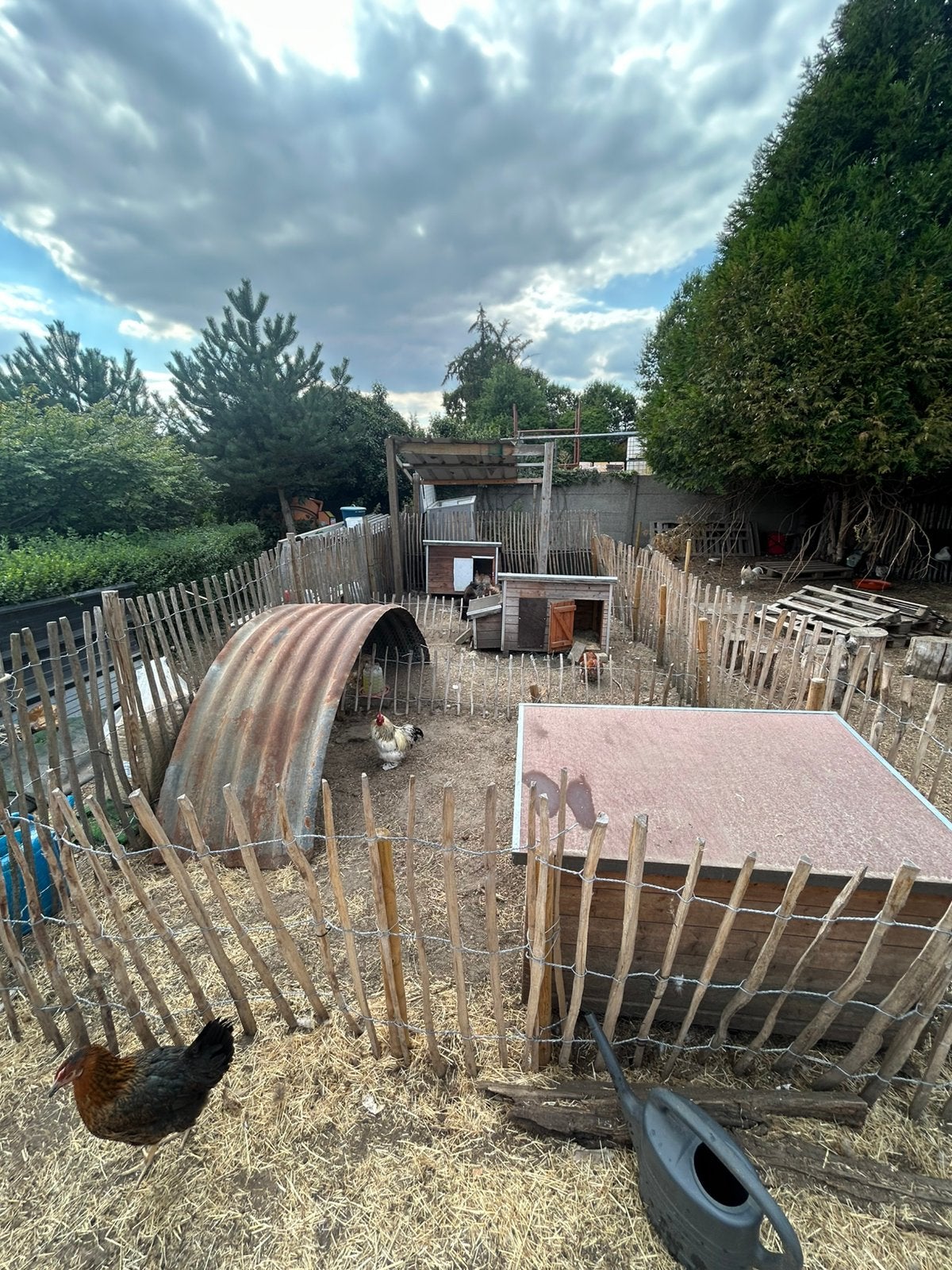 Kastanje houten omheining, Tuin en Terras, Ophalen, Nieuw, Hout, Tuinhek