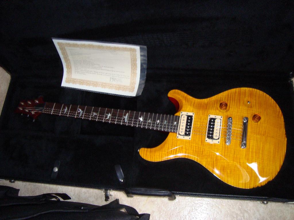 Hoyer, Supro, Eastwood, Ibanez, PRS, Enlèvement, Utilisé, Solid body, Paul Reed Smith