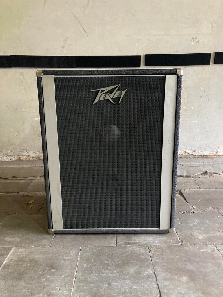 Peavey 118D bascabinet, Musique & Instruments, Enlèvement, Utilisé, Guitare basse