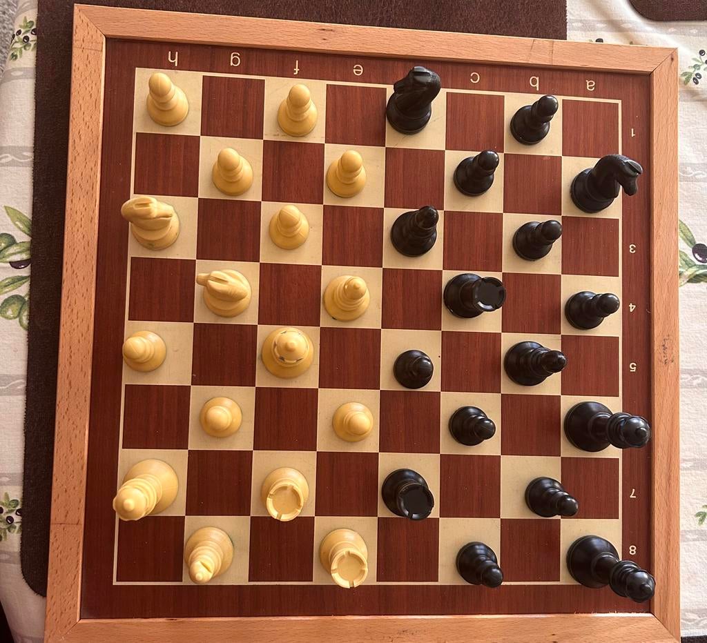 Schaakspel met houten bord – compleet, Verzamelen, Ophalen of Verzenden, Gebruikt