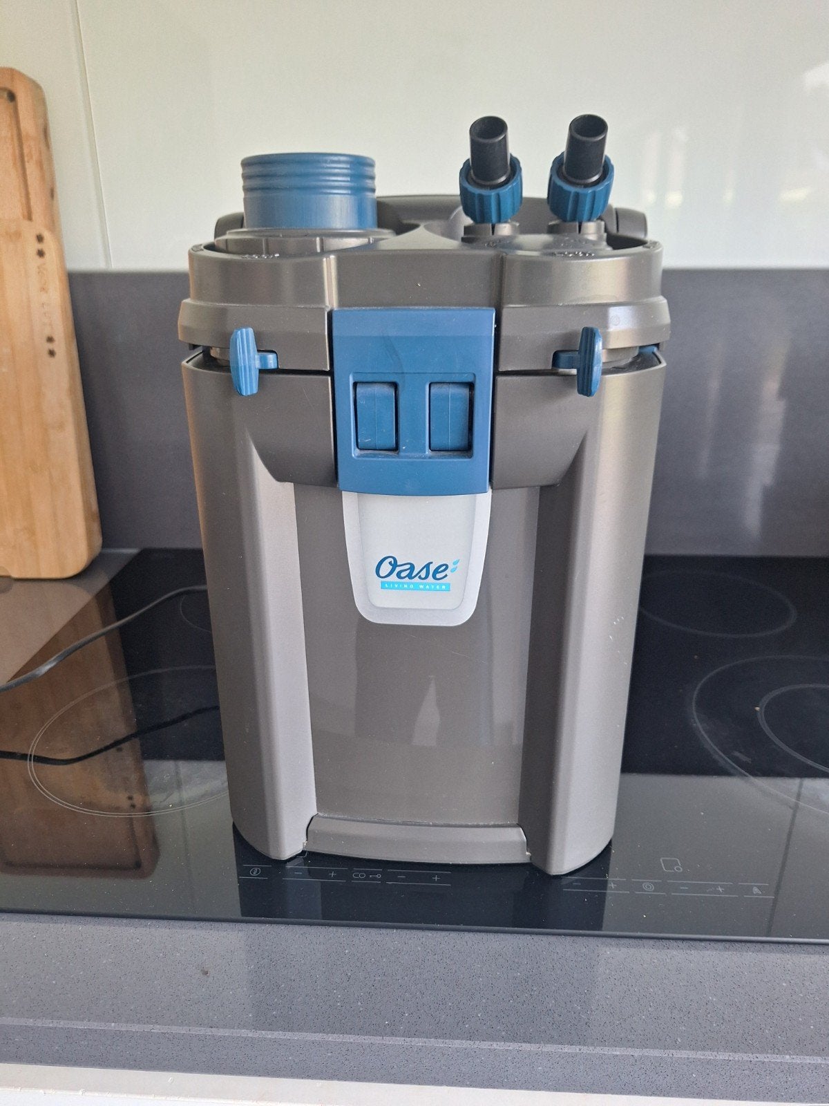 Oase biomaster 250 + 250 Thermo, Animaux & Accessoires, Oase, Comme neuf, Enlèvement, Filter