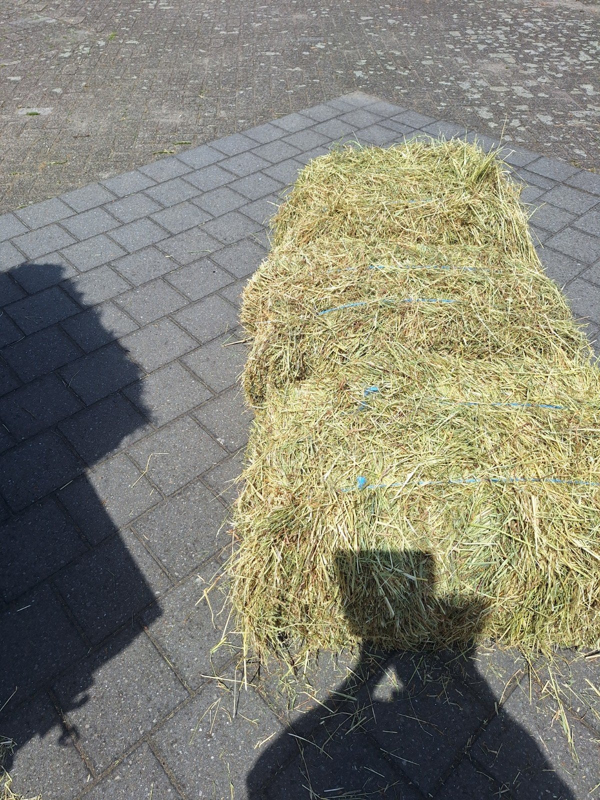 Hooi, Dieren en Toebehoren
