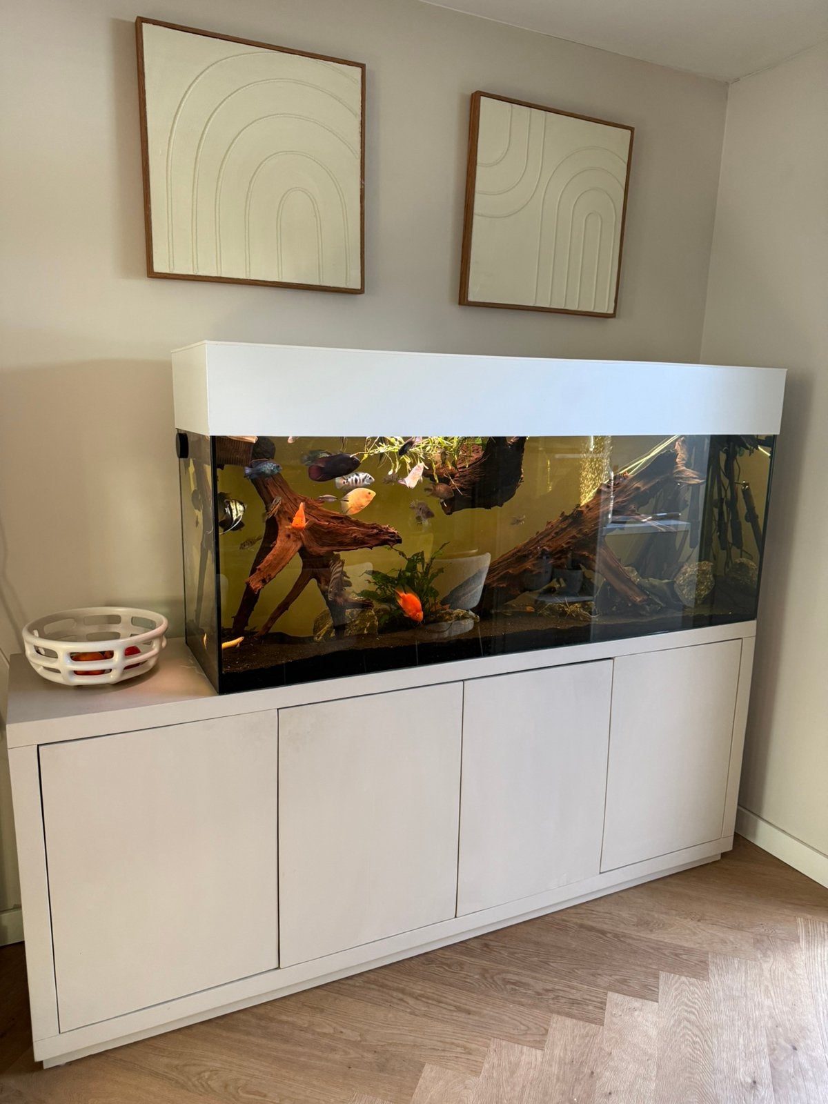 Prachtig Maatwerk Aquarium (160x40x73 cm - 467L), Enlèvement, Comme neuf, JBL