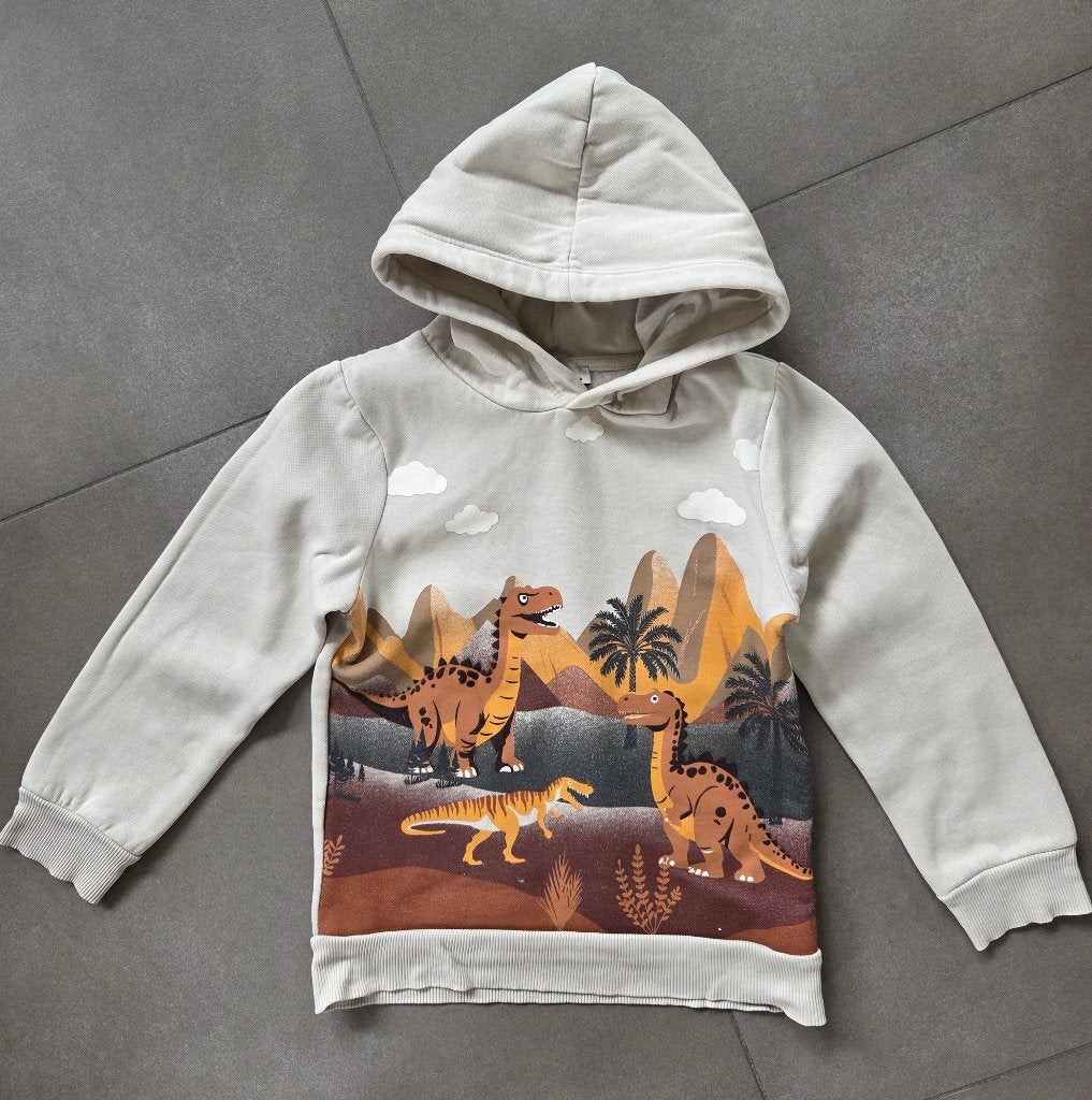 jongenskleding, Kinderen en Baby's, Ophalen, Gebruikt, Jongen, Trui of Vest