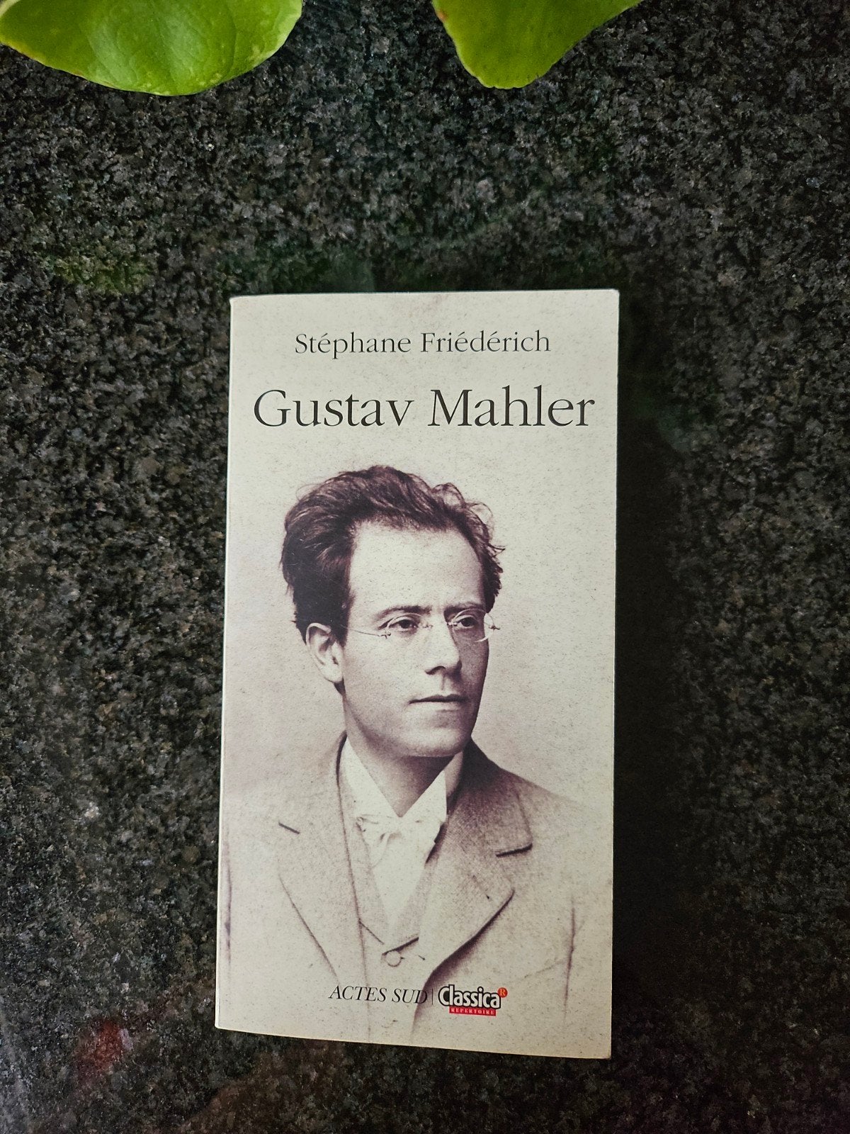 Gustave Malher, Gelezen, Kunst en Cultuur, Stéphane Friederich, Ophalen of Verzenden
