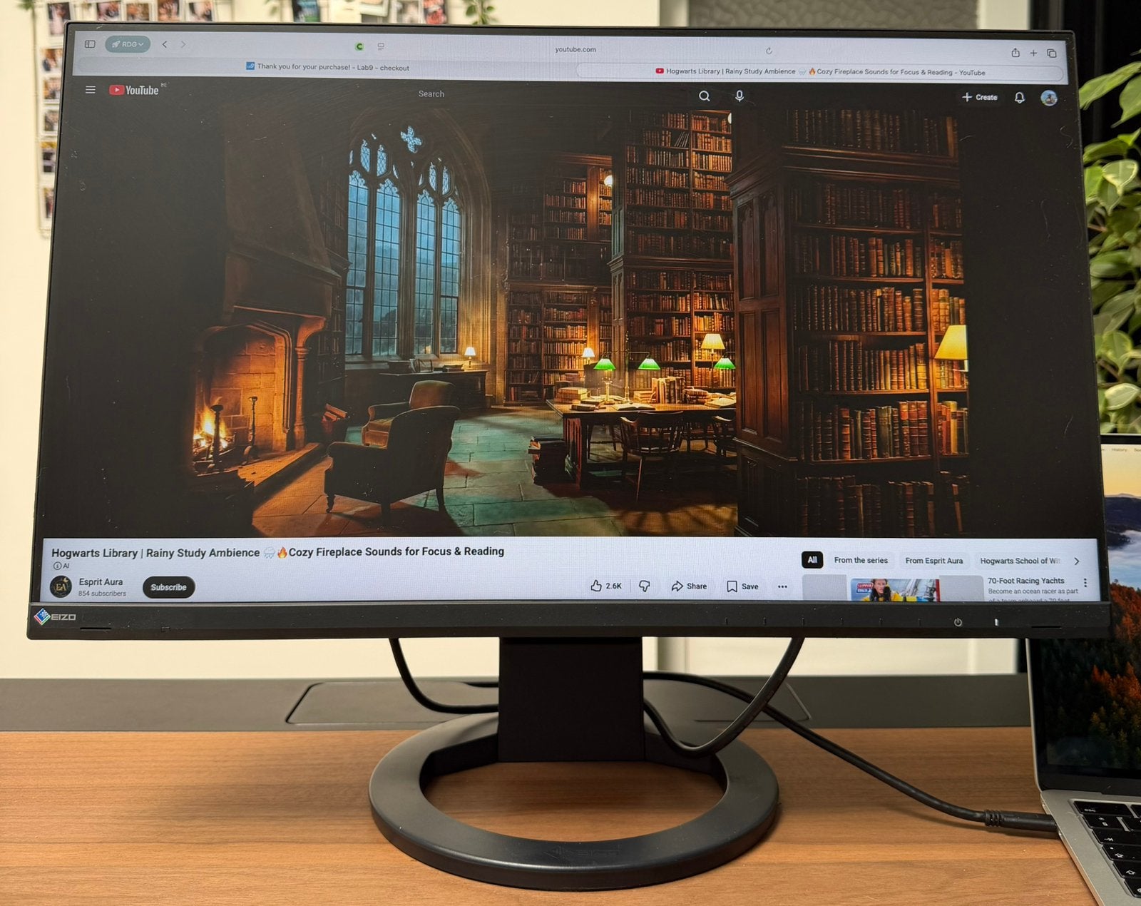 Enzo FlexScan Color LCD Monitor, Ophalen, Zo goed als nieuw