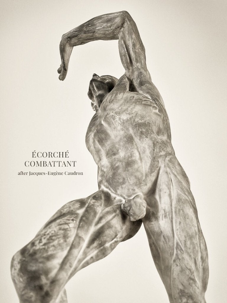 Antiek Gipsen Anatomisch Beeld Écorché Combattant Caudron, Antiek en Kunst, Ophalen, Gemerkt, Gips, 50 - 100 cm