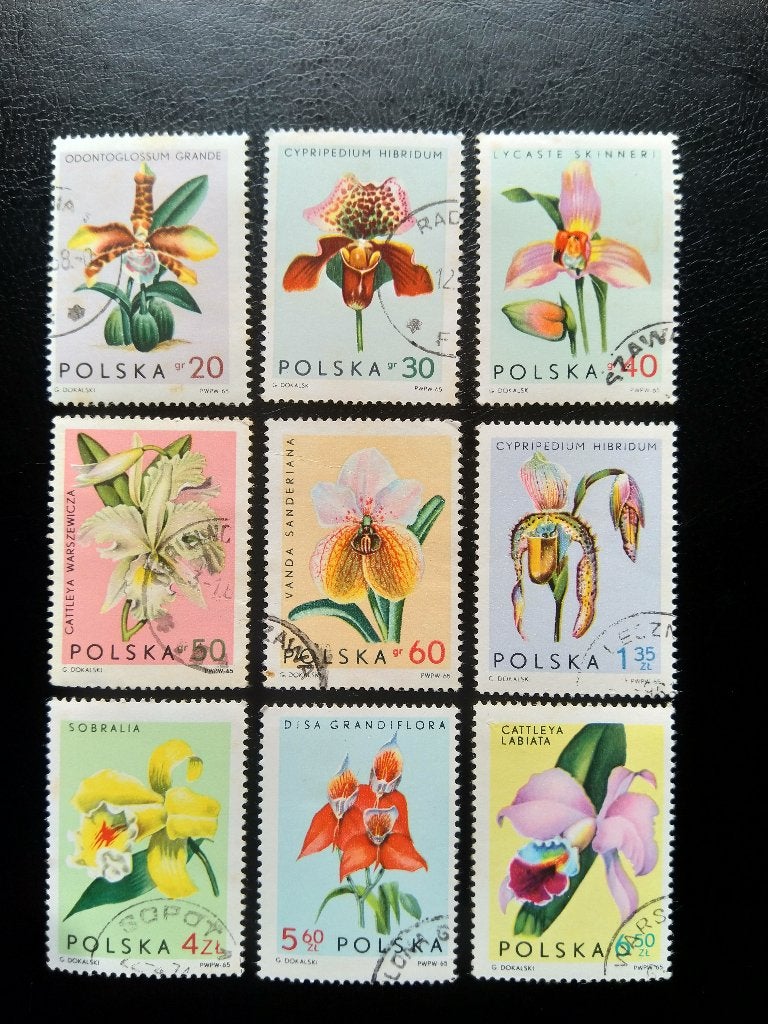 Orchids, Pologne, 1965, Envoi, Affranchi, Animal et Nature