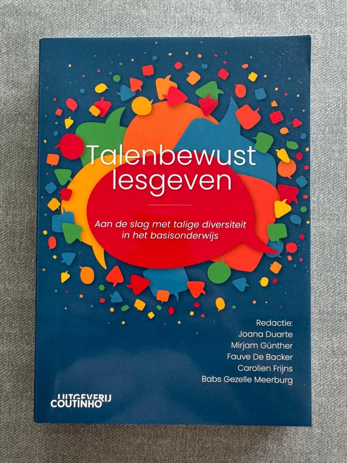 Talenbewust lesgeven, Enlèvement ou Envoi, Comme neuf, Enseignement supérieur professionnel