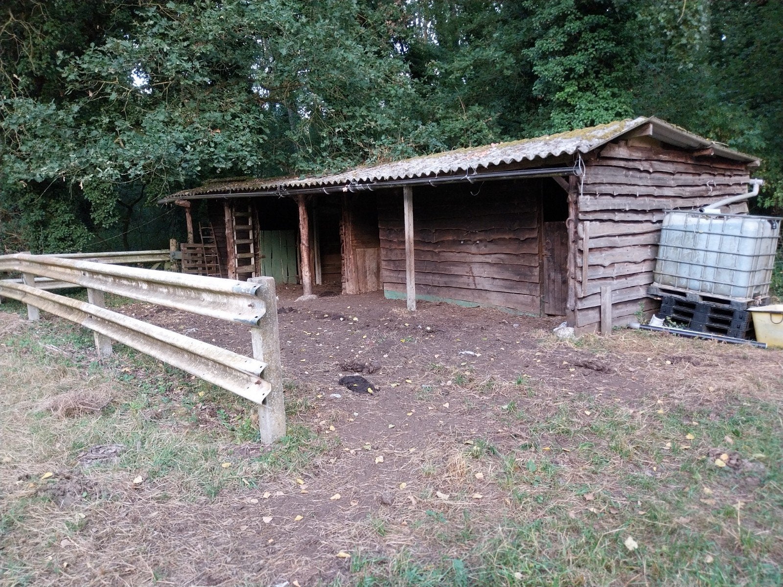 weide met bos, Enlèvement ou Envoi