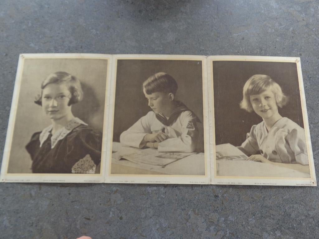 triptyque avec 3 grandes photos Baudouin, Albert et J.Charl., Collections, Enlèvement
