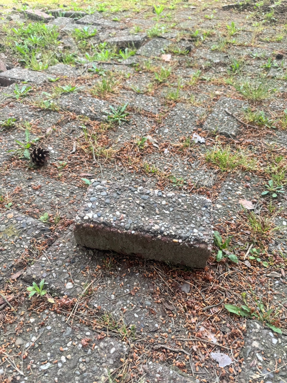 Gratis betonklinkers, Béton, Enlèvement, Utilisé, Briques