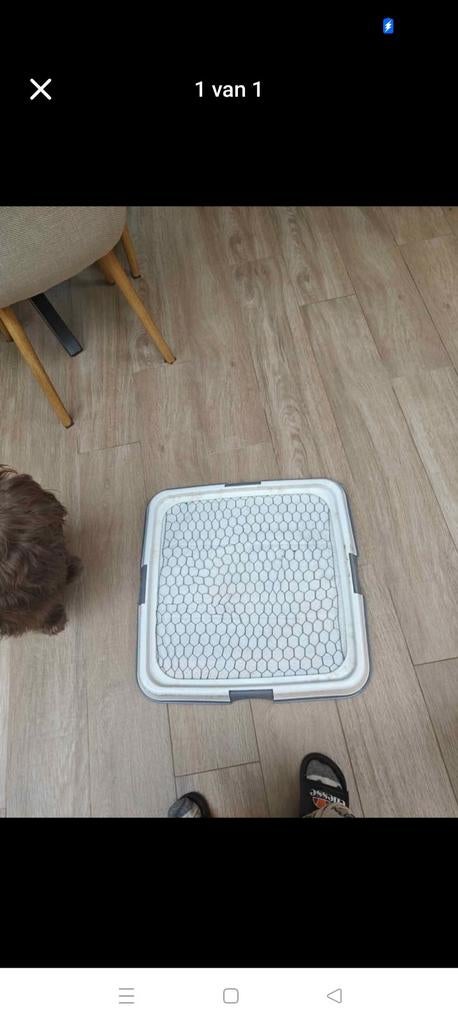 Puppy trainer - plasmat houder, Dieren en Toebehoren, Ophalen
