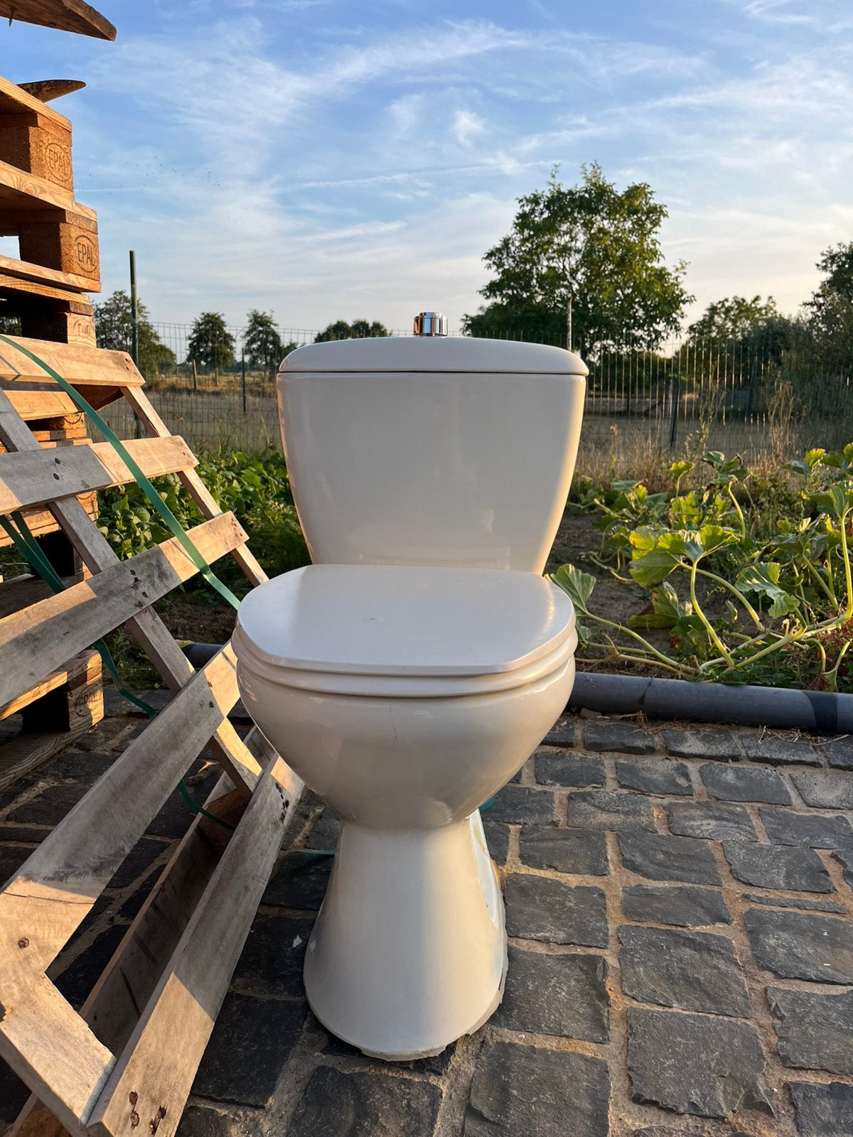 Toilet Boch kiwa, Ophalen, Nieuw