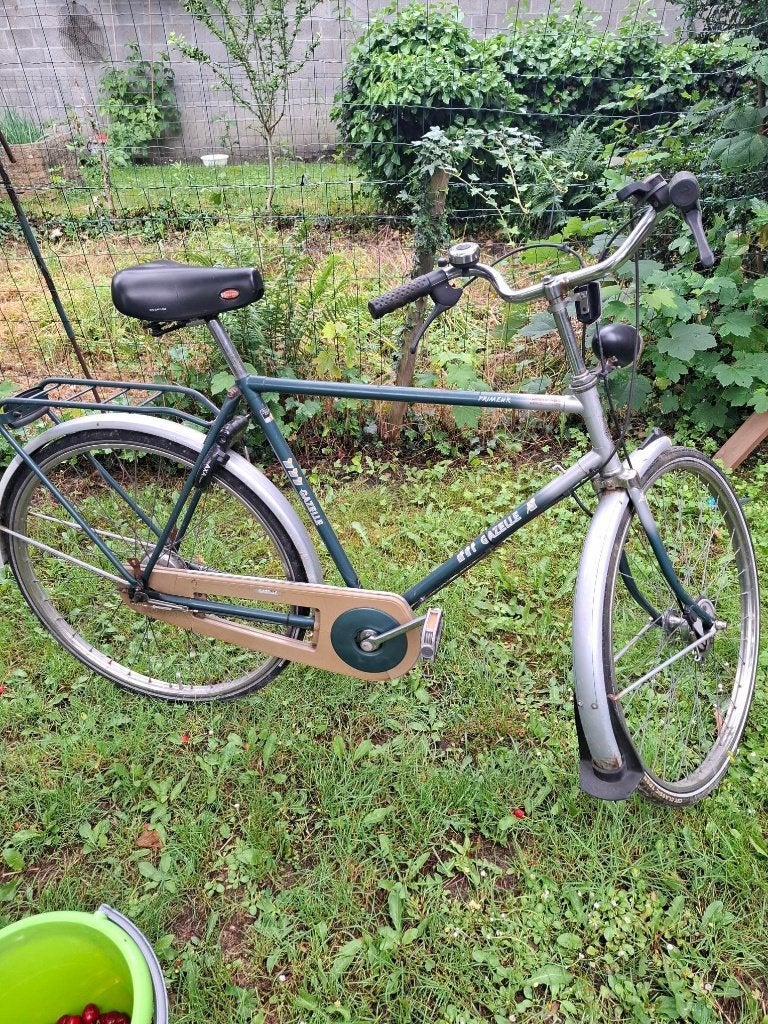 Herenfiets Gazelle, Ophalen, Gebruikt, Gazelle, Versnellingen