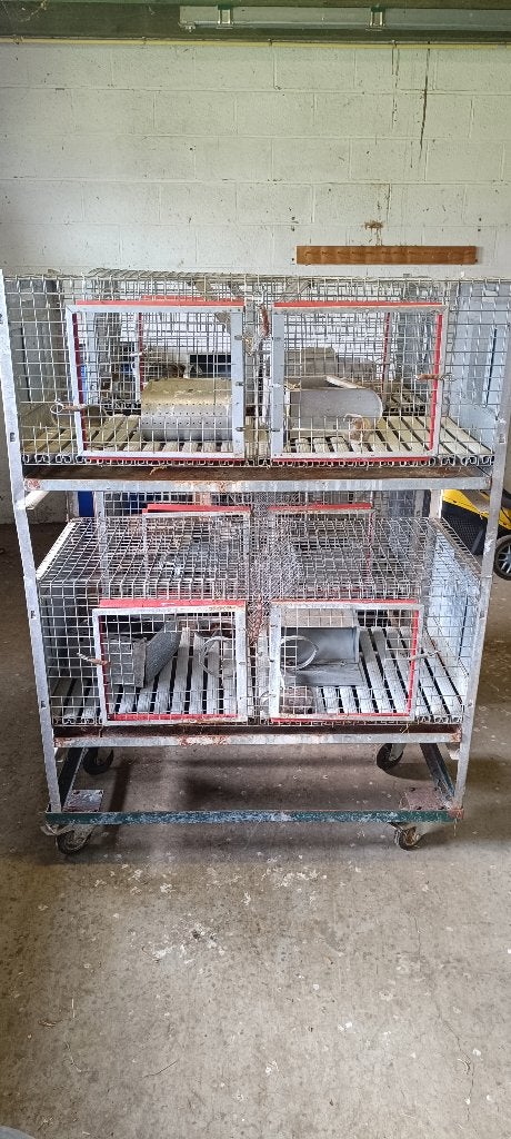 Cages d'élevage lapins, Animaux & Accessoires, Cage, Enlèvement, Utilisé, 110 cm ou plus