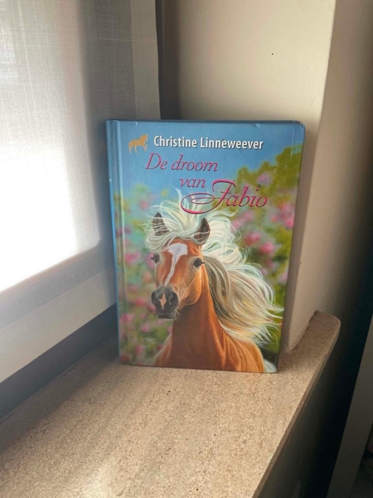 De droom van Fabio, Boeken, Ophalen, Zo goed als nieuw, Christine Linneweever