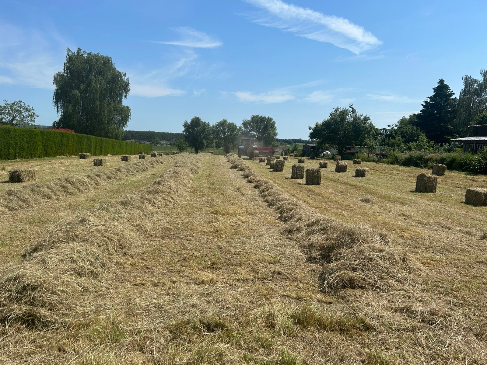 Petits ballots de foin 3 euros