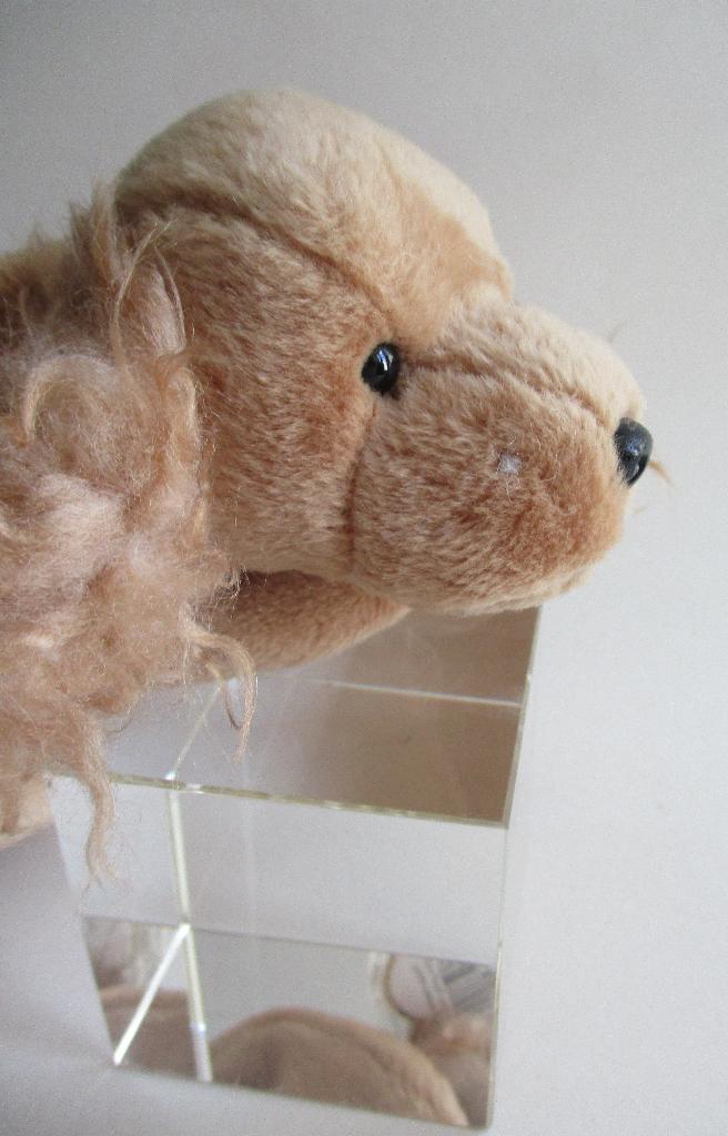 BEANIE BABIES:11-2-1997- SPUNKY-COCKER SPANIEL-BRUIN-L-21cm, Verzenden
