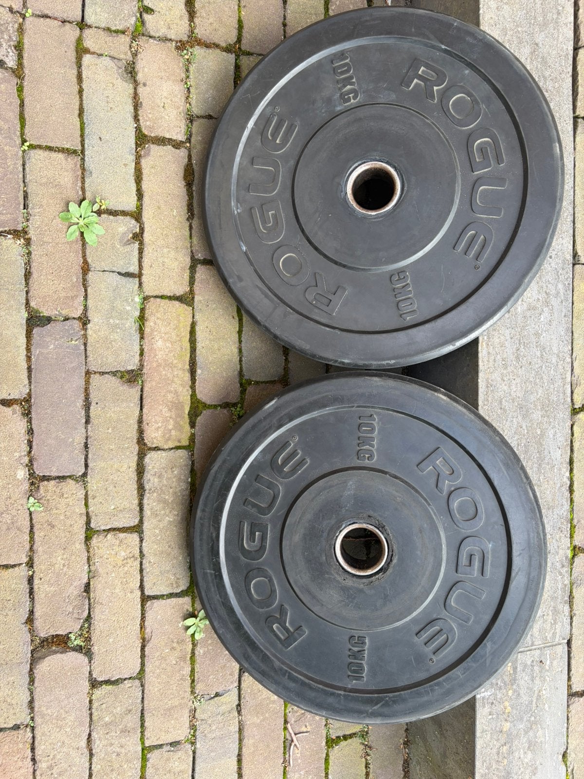 2 halterschijven 10kg, Sport en Fitness, Ophalen, Zo goed als nieuw, Benen, Halterschijven