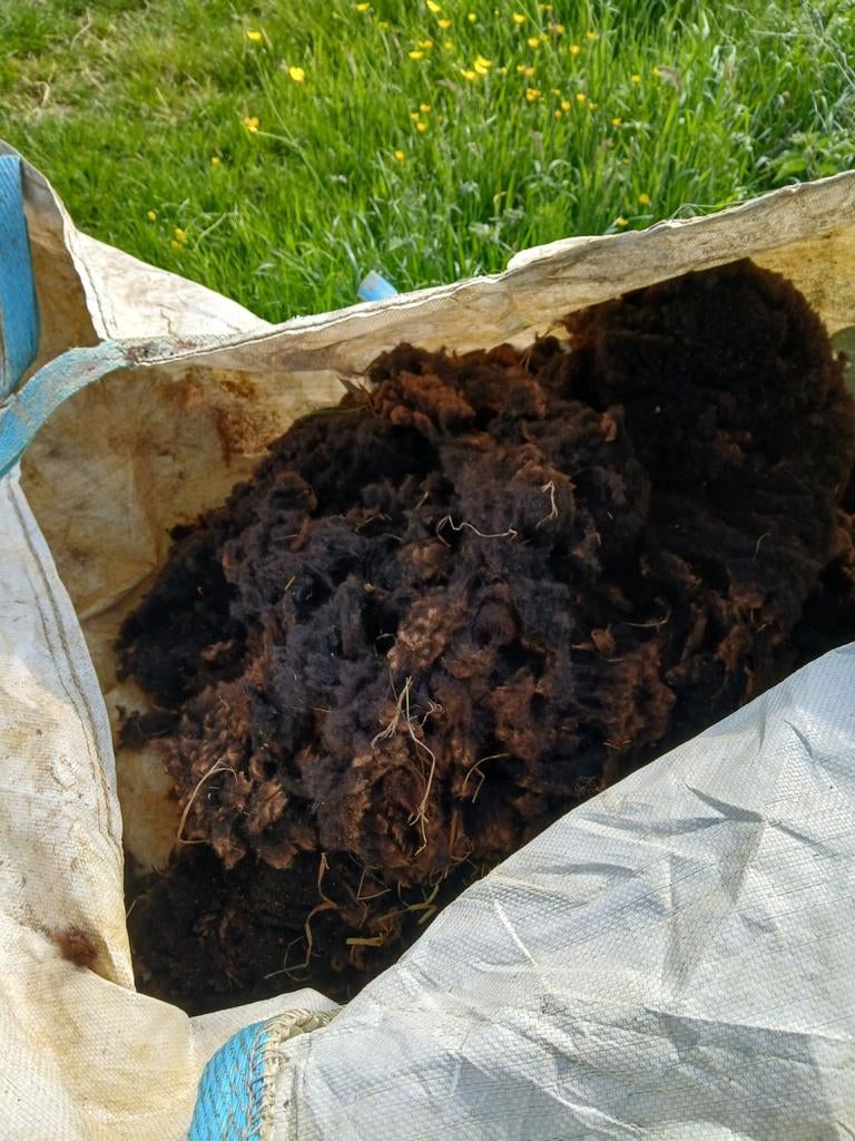 Schapenwol, Hobby en Vrije tijd, Spinnewielen en Spinnen, Ophalen