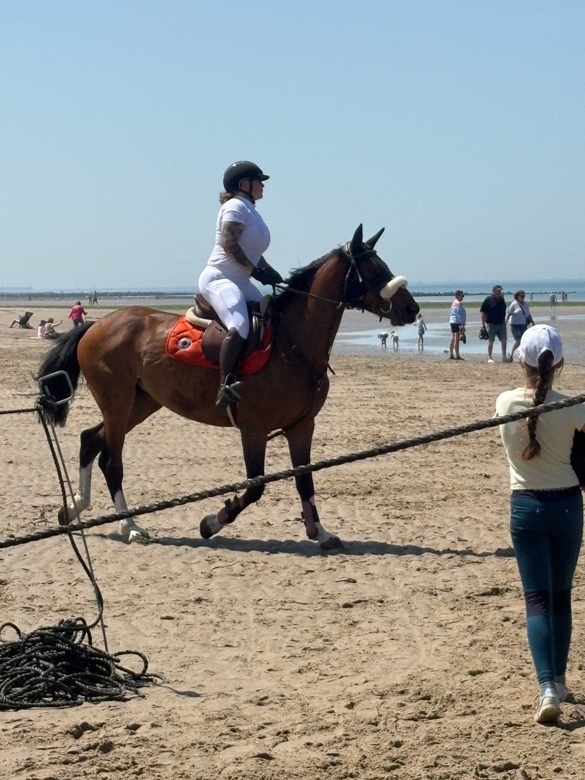 Hermes zadeldekje, Dieren en Toebehoren, Full (L), Ophalen, Zo goed als nieuw, Oranje