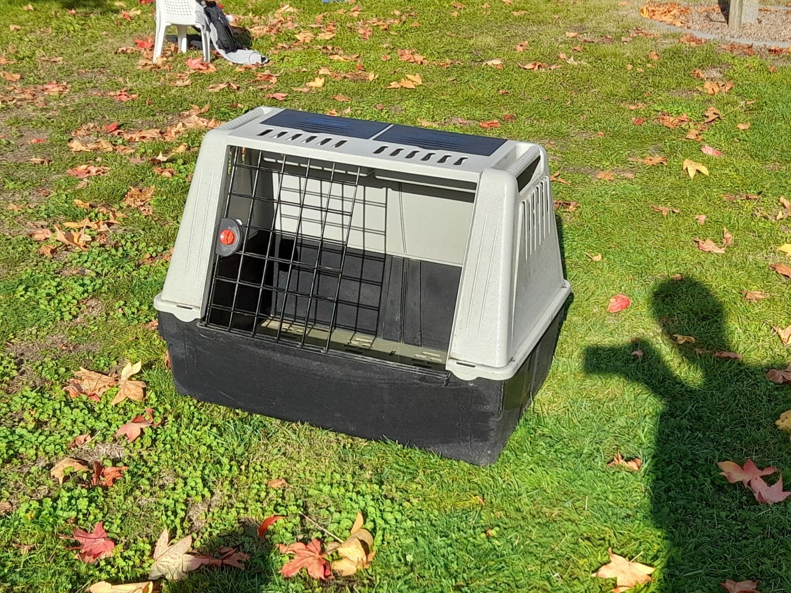 cage de transport pour chien moyen, Animaux & Accessoires, Enlèvement, Utilisé