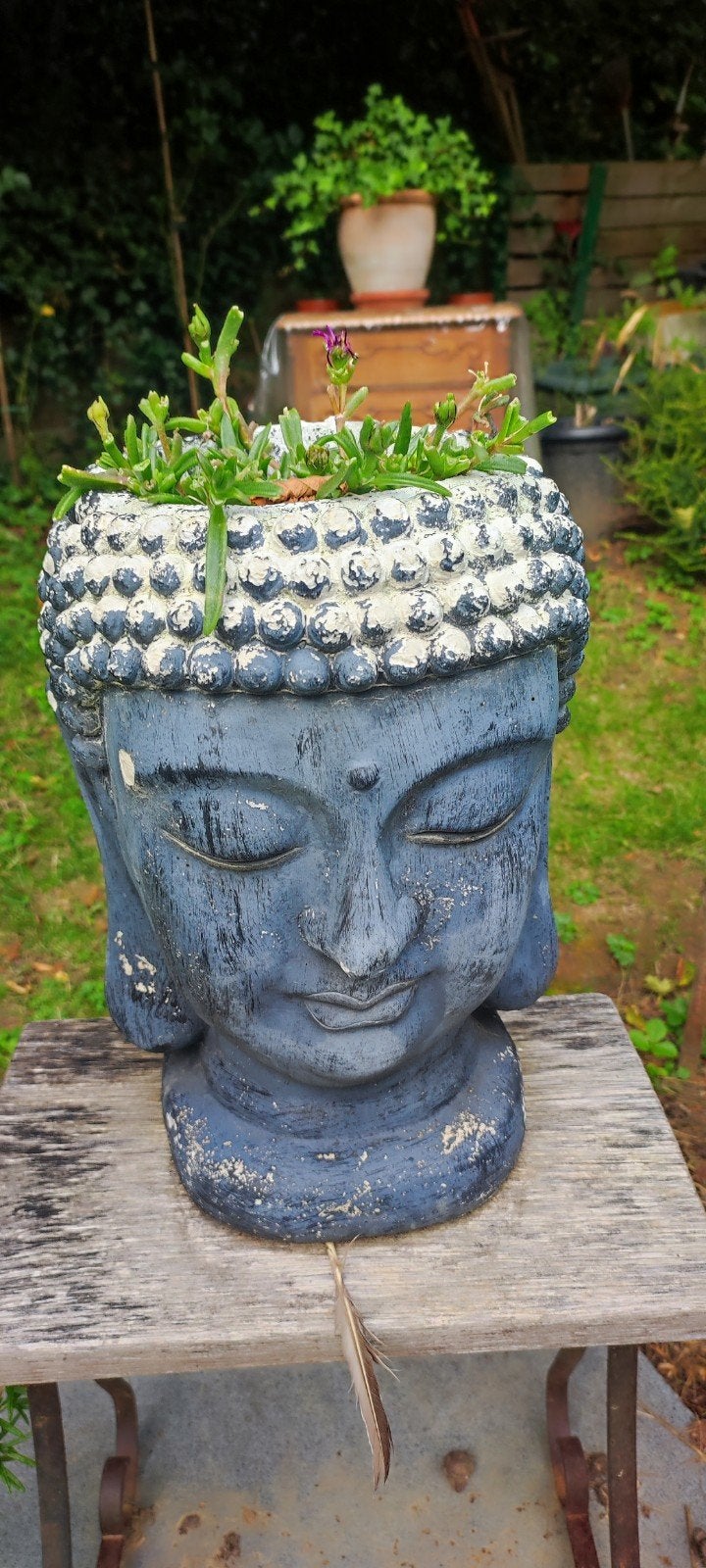 3 BUDHA HEAD met plant, Ophalen