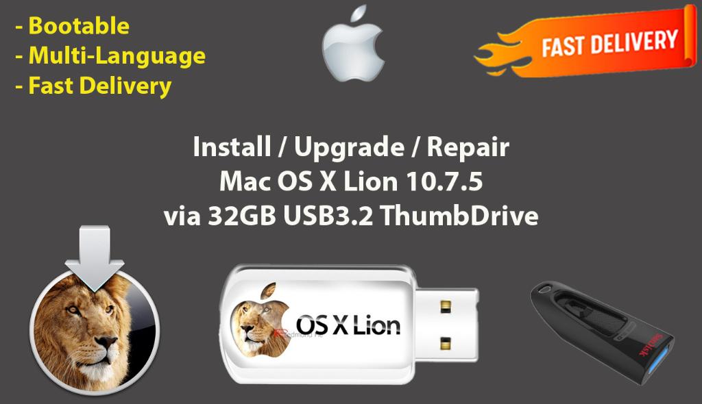 Installez Mac OS X Lion 10.7.5, OSX via USB 32 Go sans DVD, Informatique & Logiciels, Envoi, Neuf, MacOS