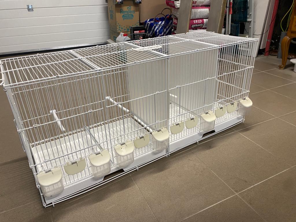 Kweekkooi, Dieren en Toebehoren, Ophalen, Zo goed als nieuw
