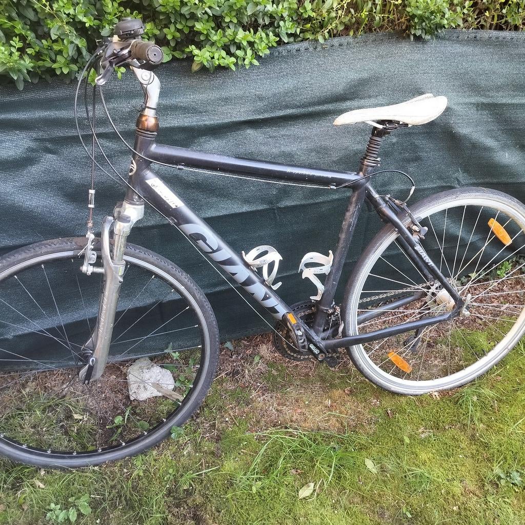 Grote mtb Giant, Fietsen en Brommers, Ophalen, Giant