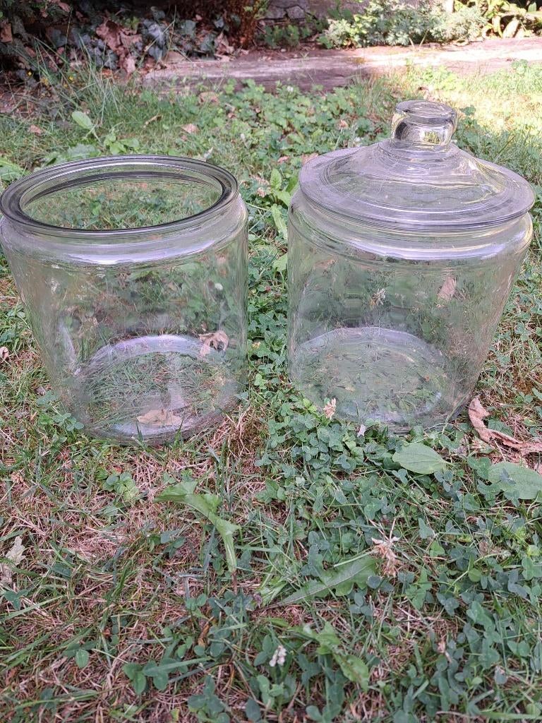 2 glazen potten met deksel, 19 cm hoog zonder deksel, Ophalen, Zo goed als nieuw, Overige materialen, Overige typen