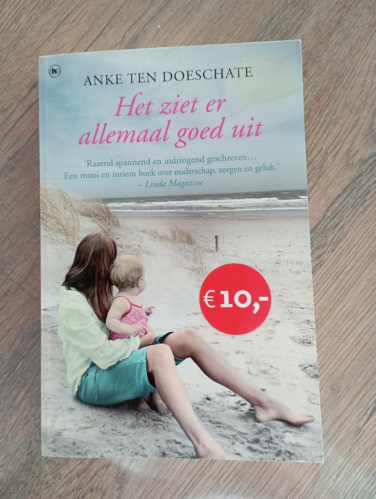 het ziet er allemaal goed uit - anke ten doeschate, Boeken, Romans, Zo goed als nieuw, Ophalen
