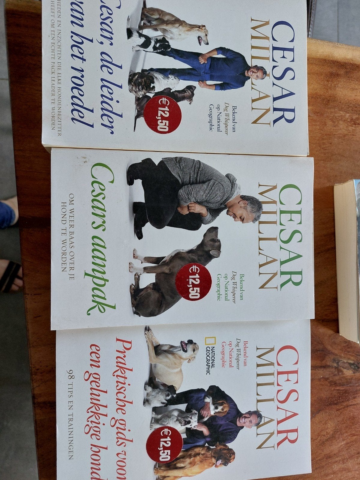 Boeken cesar millan, Enlèvement