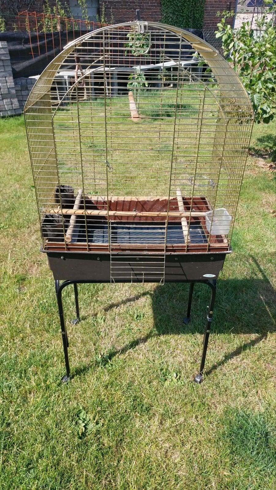 Cage à oiseaux, Enlèvement, Cage à oiseaux