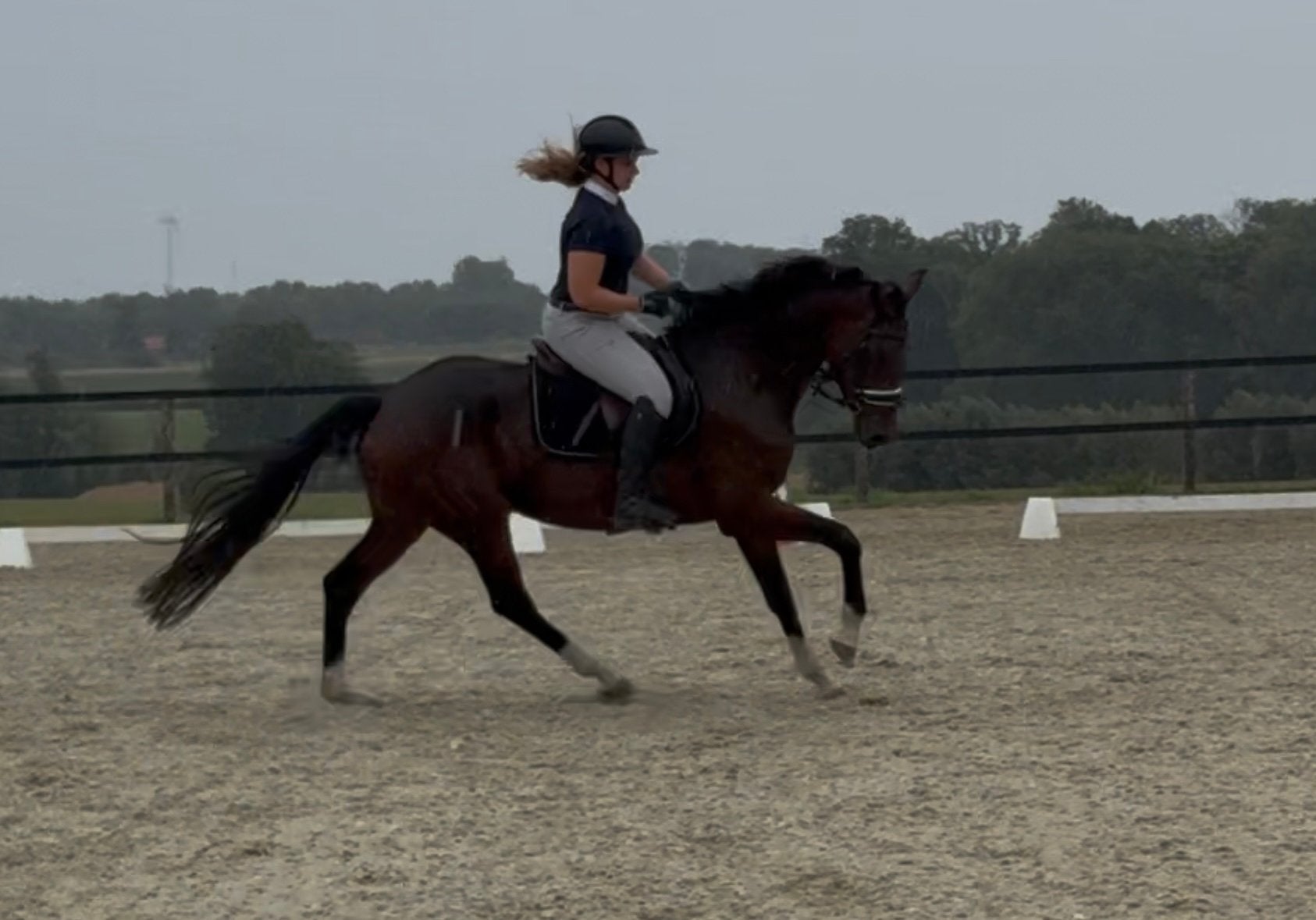 Super lieve & brave 5-jarige merrie, Dieren en Toebehoren, Merrie, Met stamboom, Niet van toepassing, Dressuurpaard
