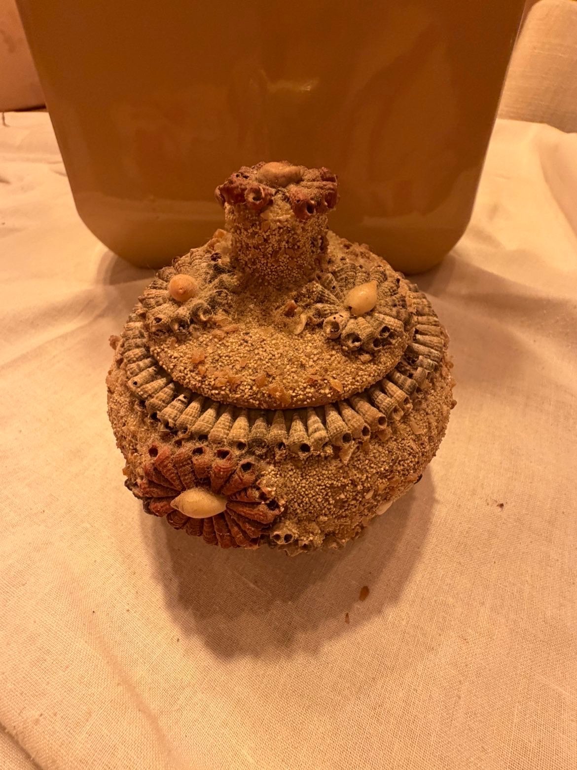 Pots en coquillage, Ophalen, Schelp(en)