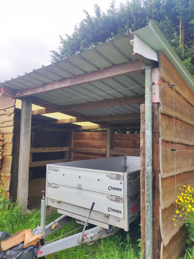 Pâturage à louer à Ninove (Meerbeke), Pâturage, 2 ou 3 chevaux ou poneys