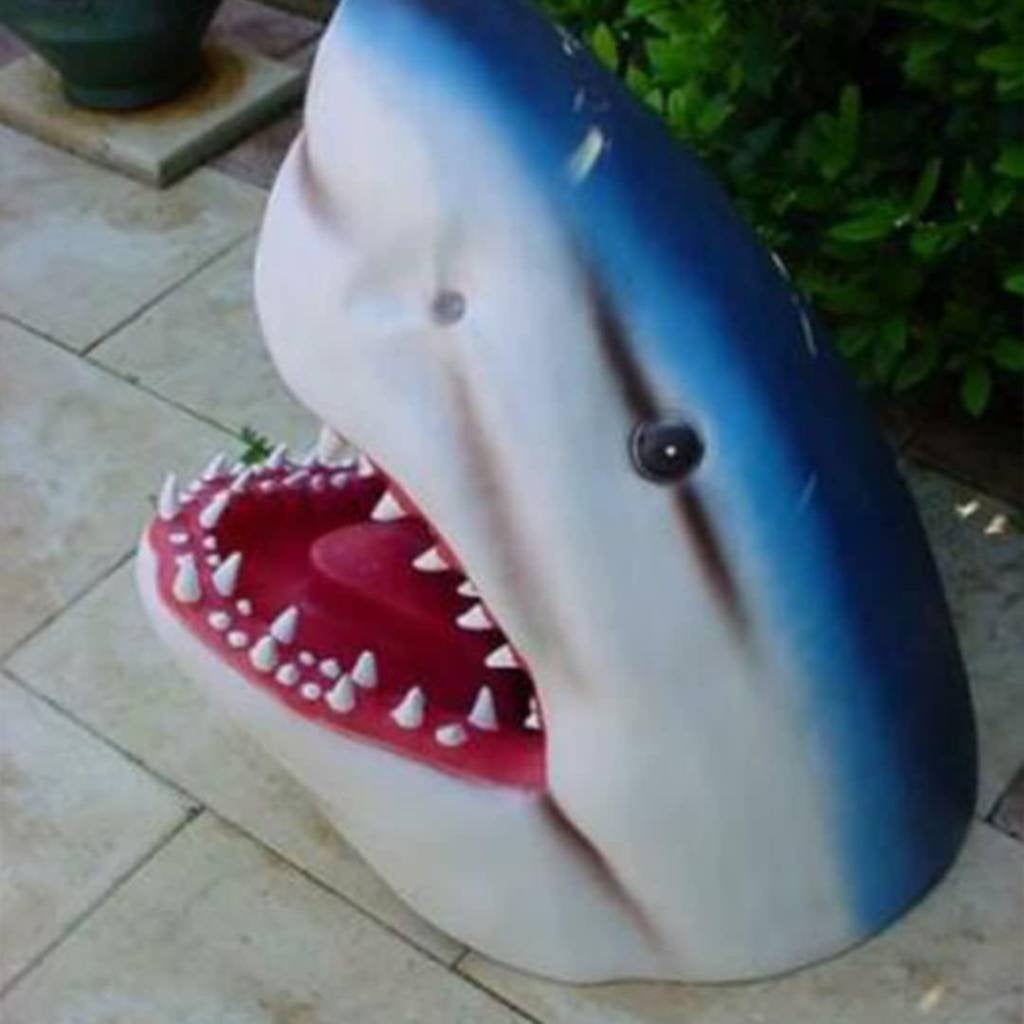 Tête de Requin bleu 80 cm polyester, Collections, Enlèvement, Neuf, Autres, Statue ou Figurine