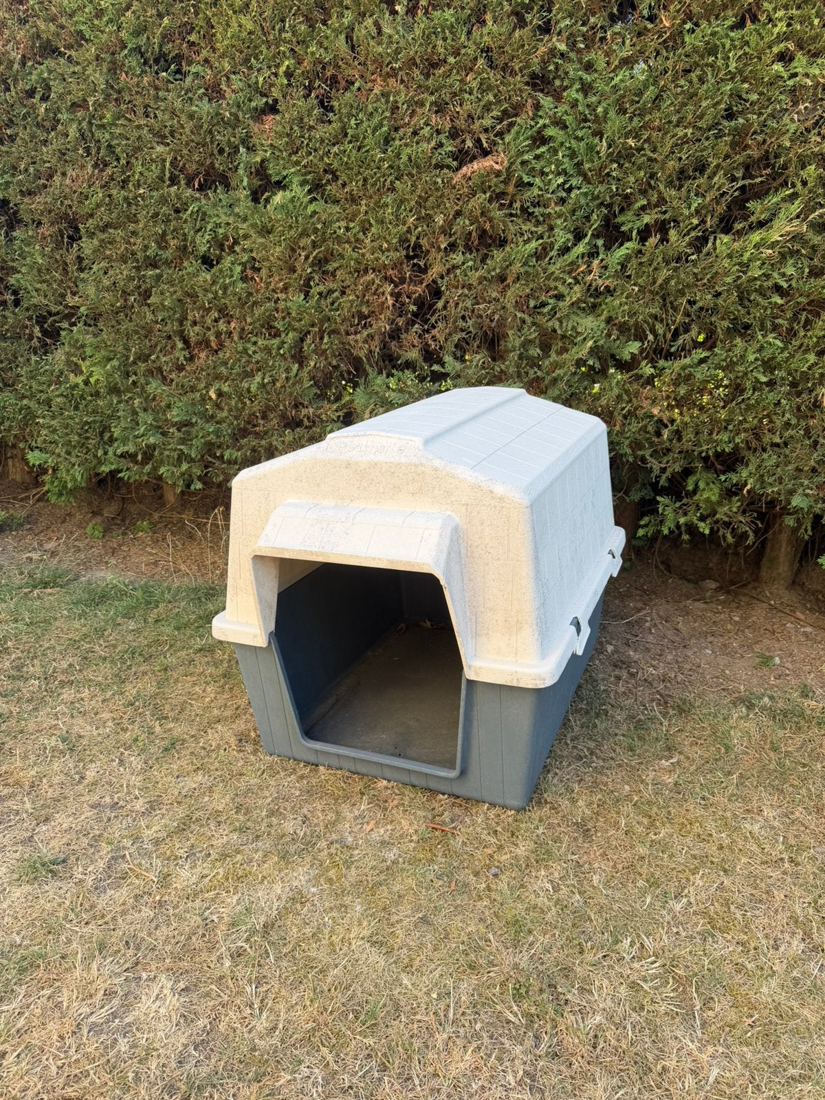 Niche pour chien en plastique – grande taille, Dieren en Toebehoren, Hondenhokken, Ophalen, Gebruikt, 65 tot 100 cm, Hondenhok