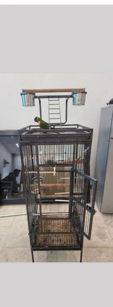 Vogelkooi, Dieren en Toebehoren, Ophalen of Verzenden, Vogelkooi